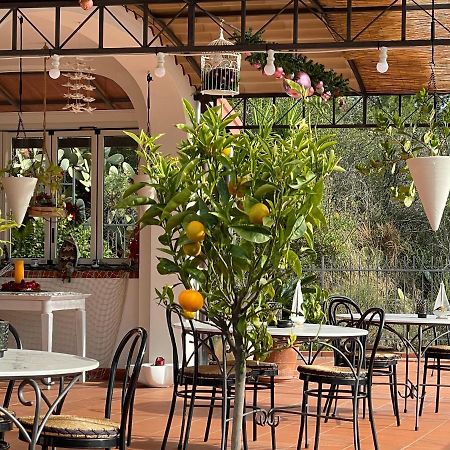 Sotto Le Stelle ...Il Mare Hotel Pietra Ligure Ngoại thất bức ảnh